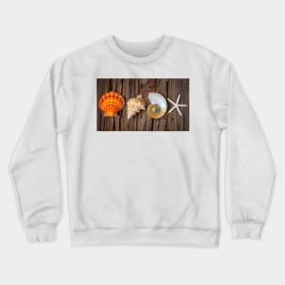 Four Lovely Shells And White Starfish Crewneck Sweatshirt